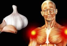 Why you should consider consuming raw garlic daily