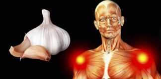 Why you should consider consuming raw garlic daily