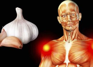 Why you should consider consuming raw garlic daily