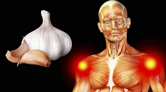 Why you should consider consuming raw garlic daily