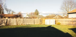 At first, the ‘apology man’ sounded like a kid’s joke, but then I peeked through the fence and uncovered a secret