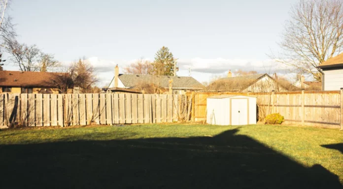 At first, the ‘apology man’ sounded like a kid’s joke, but then I peeked through the fence and uncovered a secret