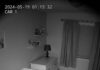 When their dog refused to leave the baby’s crib at night, new parents installed a camera to find out why