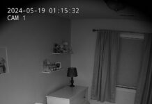 When their dog refused to leave the baby’s crib at night, new parents installed a camera to find out why