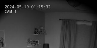 When their dog refused to leave the baby’s crib at night, new parents installed a camera to find out why