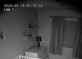 When their dog refused to leave the baby’s crib at night, new parents installed a camera to find out why