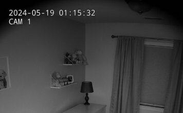 When their dog refused to leave the baby’s crib at night, new parents installed a camera to find out why