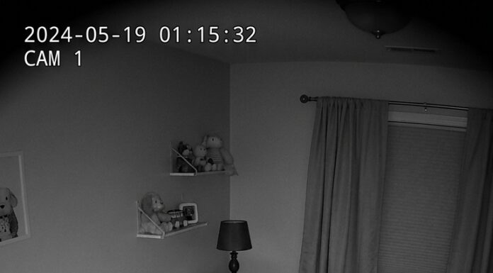When their dog refused to leave the baby’s crib at night, new parents installed a camera to find out why