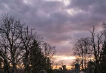 An old hunter’s devoted dog stopped eating after his death, and at the funeral it unexpectedly began barking furiously at the priest beside the casket