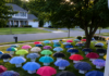 My son handed his umbrella to a pregnant woman during a storm — the following morning, 47 umbrellas covered our yard, each paired with a numbered box
