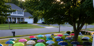 My son handed his umbrella to a pregnant woman during a storm — the following morning, 47 umbrellas covered our yard, each paired with a numbered box