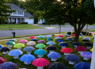 My son handed his umbrella to a pregnant woman during a storm — the following morning, 47 umbrellas covered our yard, each paired with a numbered box