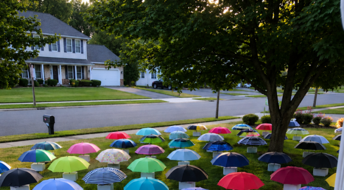 My son handed his umbrella to a pregnant woman during a storm — the following morning, 47 umbrellas covered our yard, each paired with a numbered box