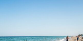 The friends were relaxing on the beach when a dog ran up barking — Then a woman turned pale after taking a closer look at its fur