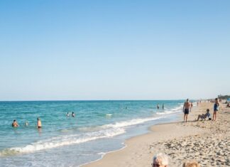 The friends were relaxing on the beach when a dog ran up barking — Then a woman turned pale after taking a closer look at its fur