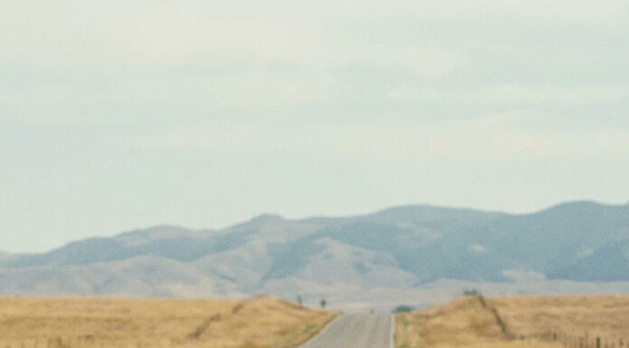 Daughter abandoned her mother by the road and drove away, trying to get rid of her, not assuming what would happen next