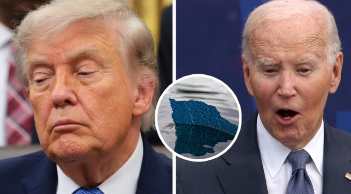 Joe Biden takes brutal swipe at Trump over Reflecting Pool repairs after he threatened vandals with 10 years in prison