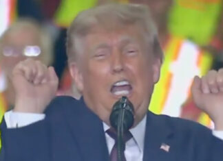 Donald Trump slammed for ‘disgusting’ act during rant about transgender athletes