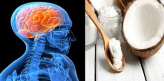 Could eating 2 tablespoons of coconut oil twice a day affect the brain?